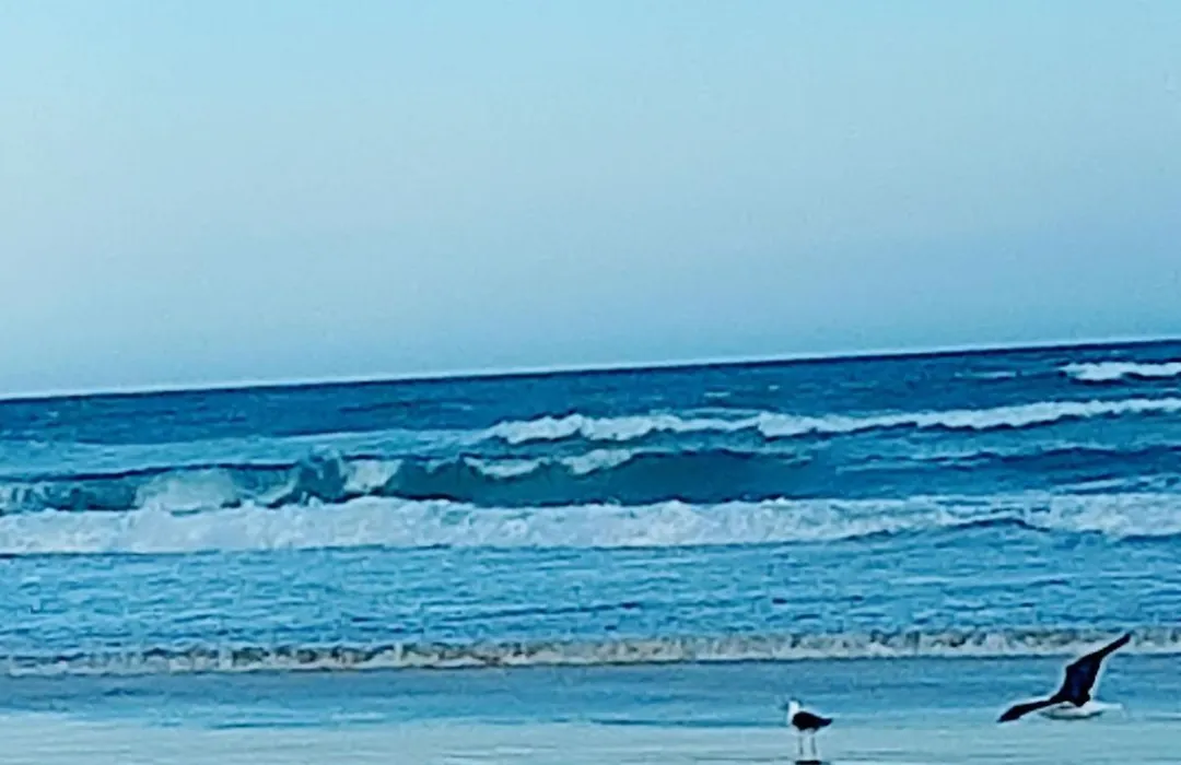 Suites PRISCO BEACH-1
